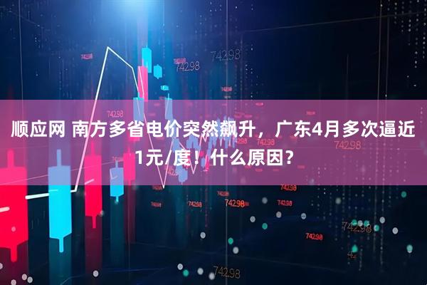 顺应网 南方多省电价突然飙升，广东4月多次逼近1元/度！什么原因？